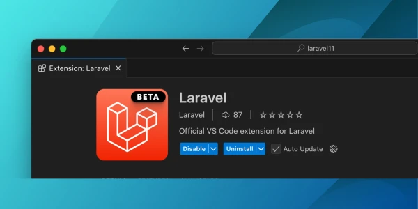 Laravel VS Code Extension Public Beta - Laravel News